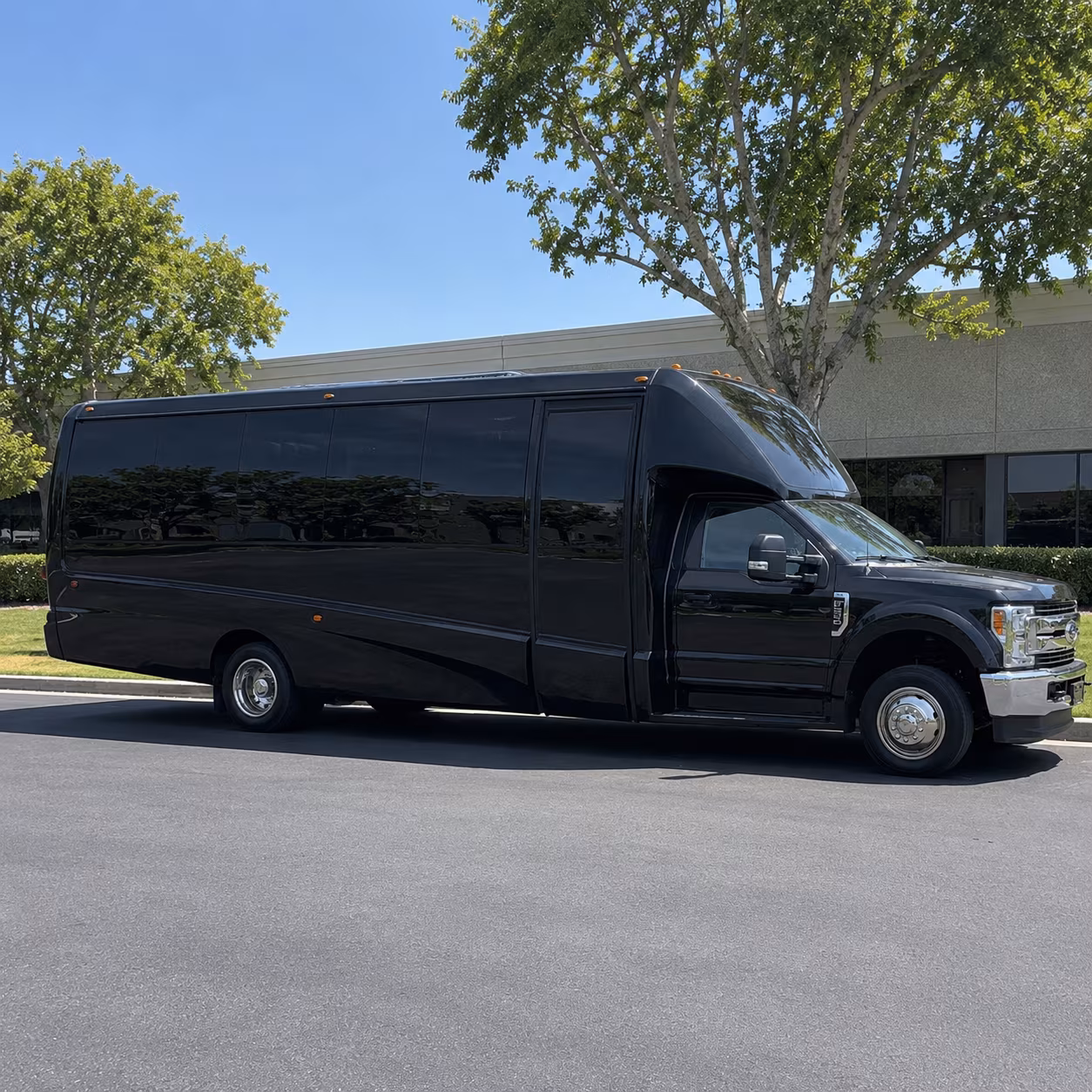 Alexandria Homecoming & Prom Party Bus Rentals