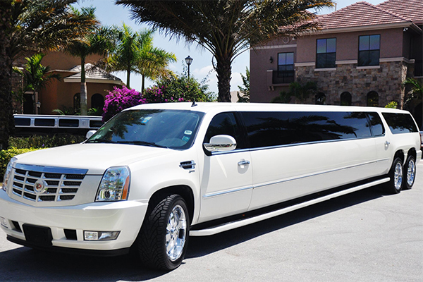 Washington 20 Passenger Limo